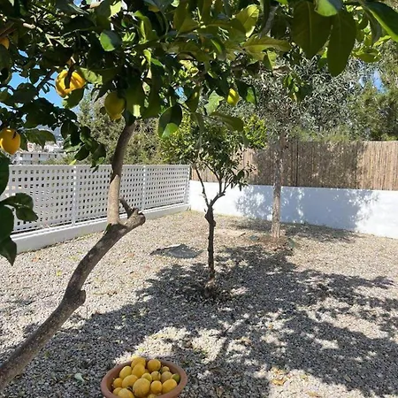Ibiza Sunshine Hideaway Semesterbostad *